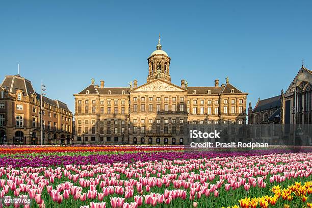 National Tulip Day At The Dam Square With Royal Palace Stock Photo - Download Image Now