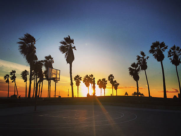 istock Sunset on Venice Beach, California, USA 621130476