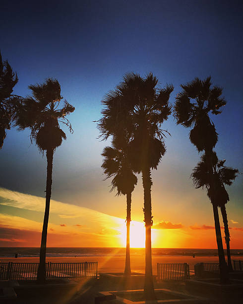 istock Sunset on Venice Beach, California, USA 621130498