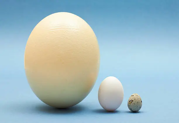 Photo of Three eggs