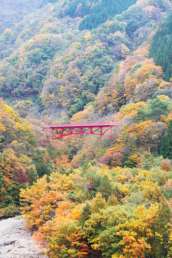 autumn, landscape, mountain, beautiful, nature, background, forest, season, leaf, tree, outdoor, color, colorful, countryside, travel, natural, sky, light, beauty, plant, grass, weather, majestic, red, yellow, sunlight, day, view, park, scenery, fresh, fall, environment, valley, river, bridge