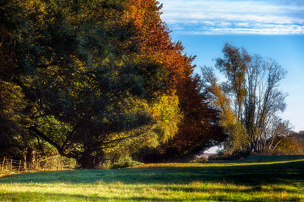 Autumn colours illuminate the trees of the Hougoumont woods, in Waterloo