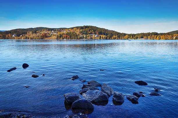 germany titisee - black forest - black forest forest sky blue imagens e fotografias de stock