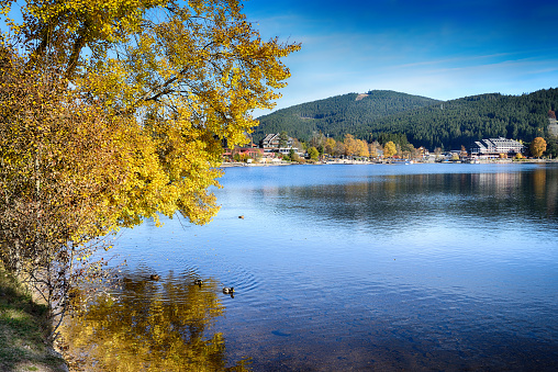 Lake in the mountains at autumn