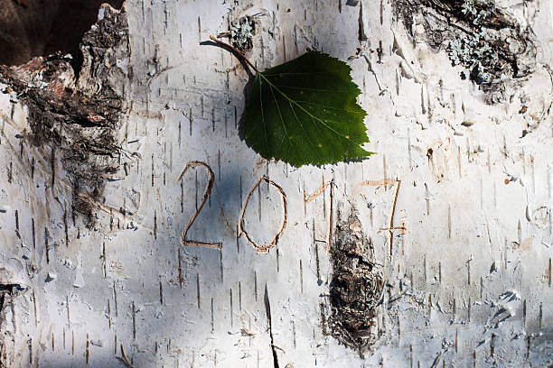 number new year carved on birch stock photo