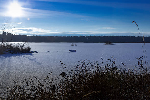istock Frozen lake in the winter 621138824