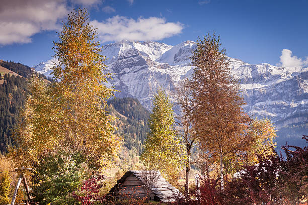 гора уайлдструбель, обербимменталь, швейцарские альпы - wildstrubel стоковые фото и изображения