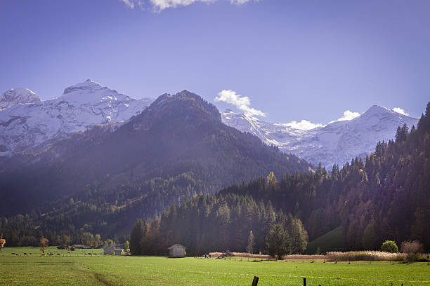 swiss alpine scene, obersimmental - wildstrubel imagens e fotografias de stock