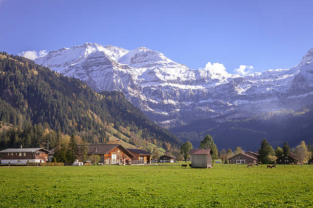 wildstrubel mountain, obersimmental, swiss alps - wildstrubel imagens e fotografias de stock