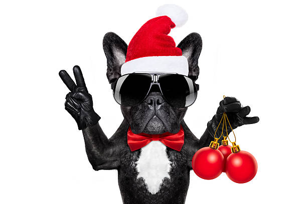 istock santa claus christmas dog 621140020