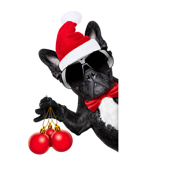 istock santa claus christmas dog 621140064