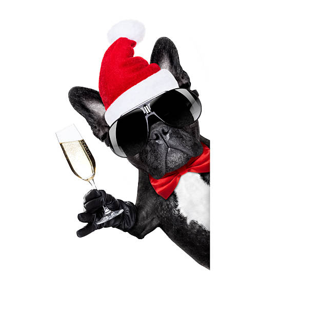istock santa claus christmas dog 621140112