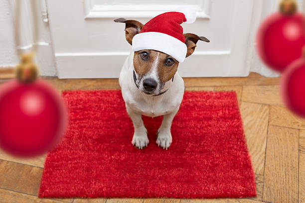 cão espera andar com uma trela - doormat door christmas holiday imagens e fotografias de stock