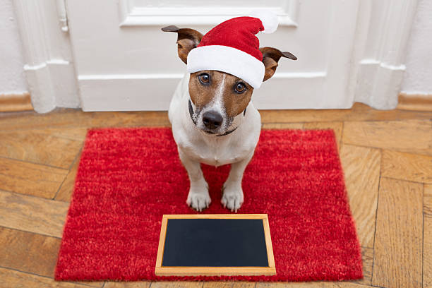 cão espera andar com uma trela - doormat door christmas holiday imagens e fotografias de stock