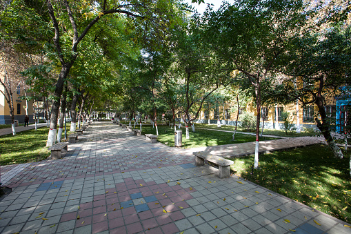 Campus view of the trees and office building.