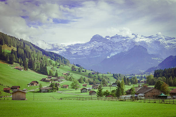 швейцарская альпийская сцена, обербсимментал - wildstrubel стоковые фото и изображения