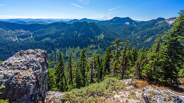 istock Beautiful mountains. Fir trees on the rocky peaks. 621140982