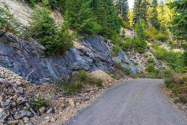 istock The road between the cliffs. Green fir on the roadside 621141104