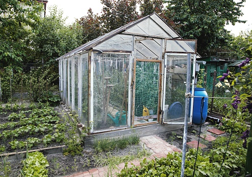 garden homemade greenhouse with cold frame. beds with different vegetables, fruits and plants