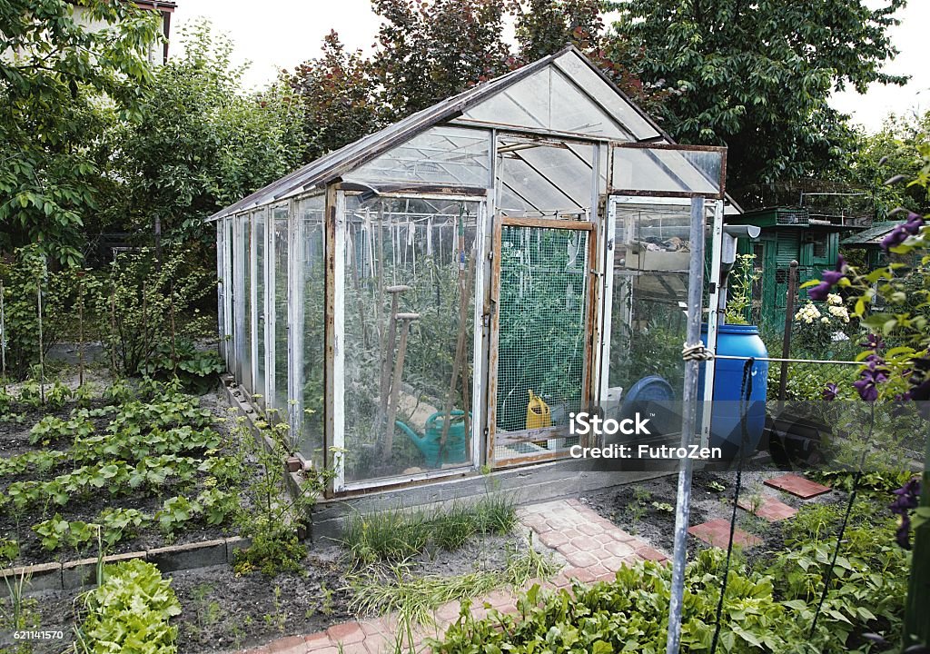 homemade greenhouse garden homemade greenhouse with cold frame. beds with different vegetables, fruits and plants Greenhouse Stock Photo