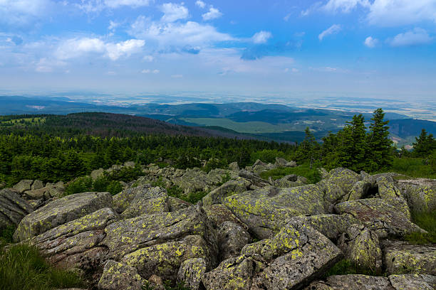 istock Mountains and forest of  Harz in the sunlight , Germany 621143086