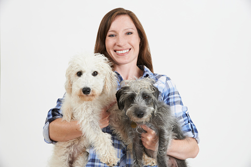 Studio Shot Of Woman With Two Pet Lurcher Dogs