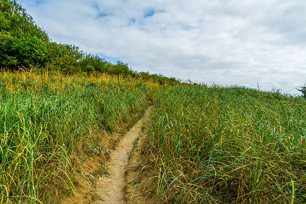 istock The path on the hillside. Bright green grass. 621144044