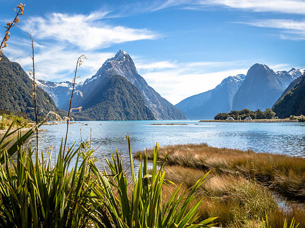Milford Sound A classic picture of the famous Milford Sound in New Zealand.  milford sound photos stock pictures, royalty-free photos & images
