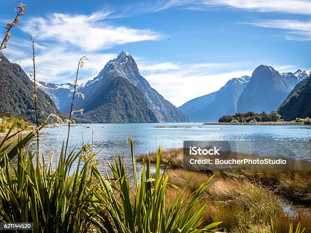 Milford Sound Stock Photo - Download Image Now - Milford Sound, New Zealand, Landscape - Scenery