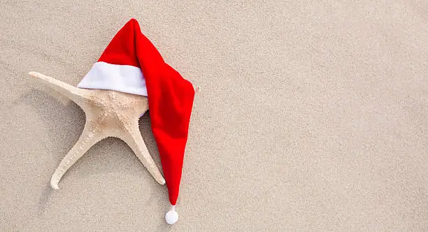 Sea-star in red santa hat at beach