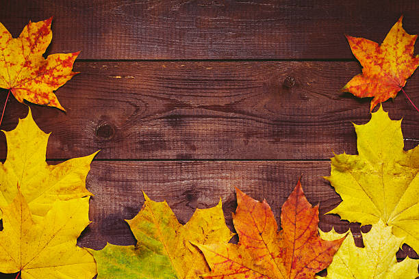 istock Wooden background with fallen maple leaves 621145740
