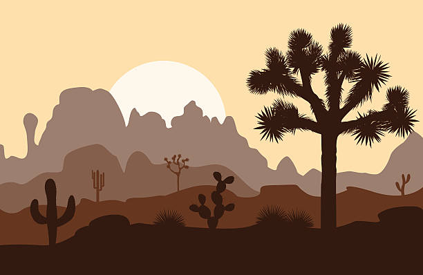 poranny krajobraz z drzewem joshua i górami nad zachodem słońca. - joshua stock illustrations
