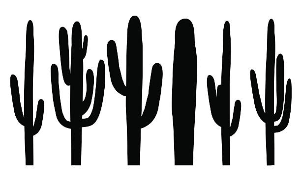black silhouettes of saguaro cactus, vector - saguaro kaktüsü stock illustrations