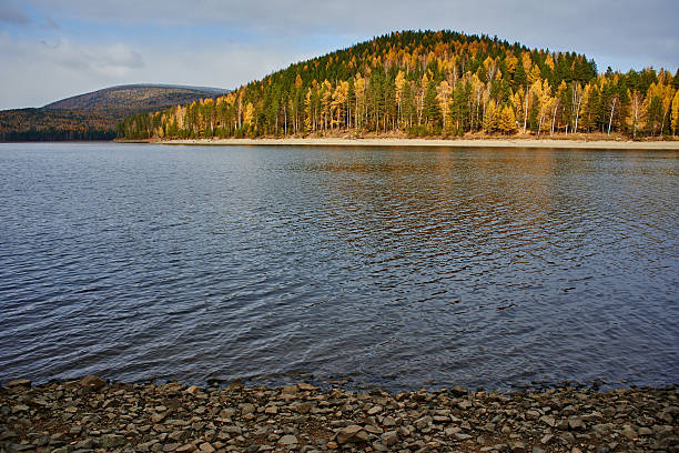 река на фоне гор, покрытых деревьями - stone rock river pebble стоковые фото и изображения