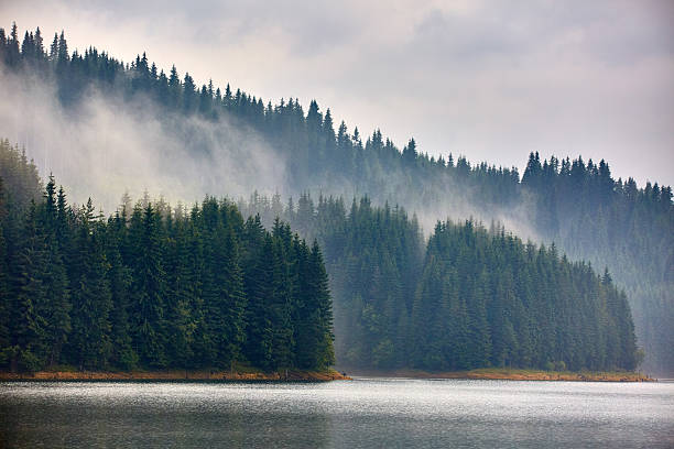 istock Lake Vidra in Romania 621232090