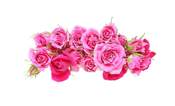 istock Bouquet of roses 621235566