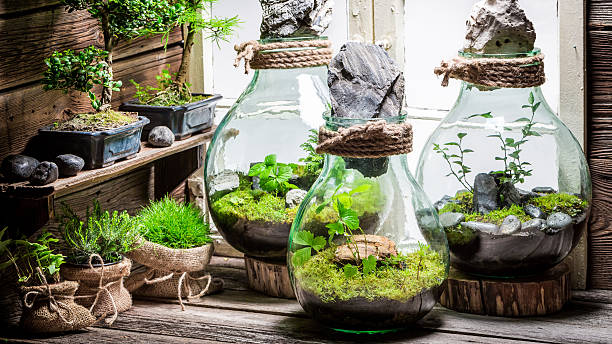 istock Stunning jar with piece of forest, save the earth concept 621235668