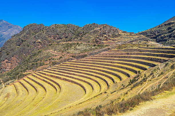 istock Inca terraces in the Sacred Valley - Pisac, Peru 621236966