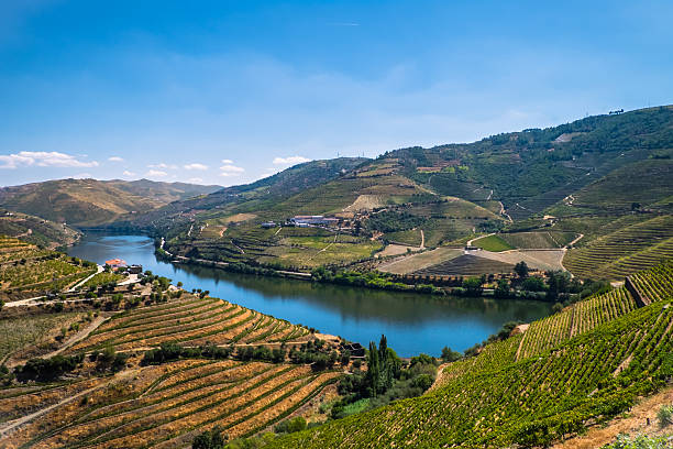 Wineries of Douro stock photo