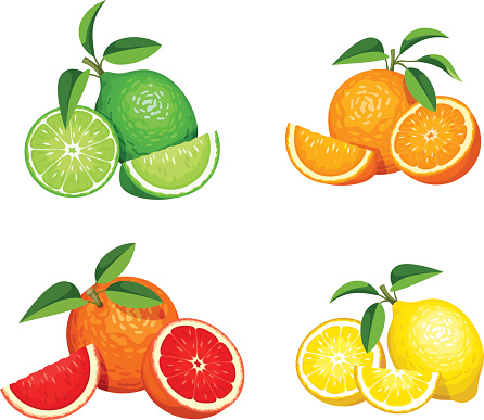 Vector set of citrus fruits (oranges, lemons, grapefruits and limes) isolated on a white background.