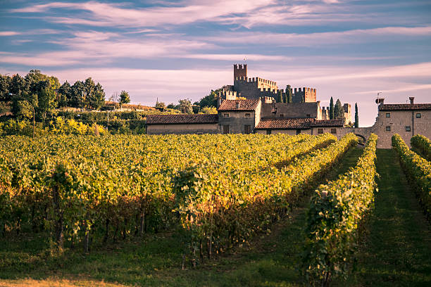 blick auf soave (italien) und die berühmte mittelalterliche burg  - veneto stock-fotos und bilder