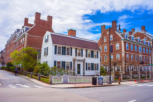 Cambridge, USA - April 29, 2015: John F Kennedy Street in Harvard University Area of Cambridge, Massachusetts, USA. Tourist in the street.