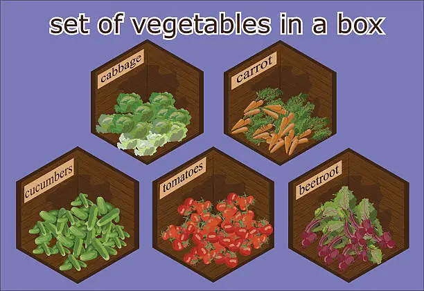 Vector illustration of vegetables set in the context of a perspective wooden box