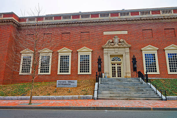 harvard art museum der harvard university in cambridge - massachusetts boston harvard university sign stock-fotos und bilder