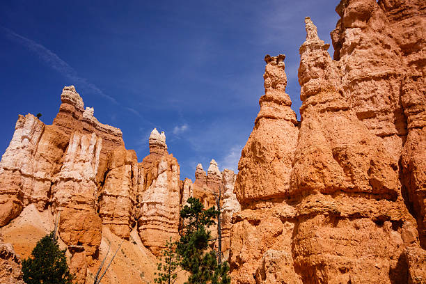 istock Hoodoos in Bryce Canyon National Park 621240626
