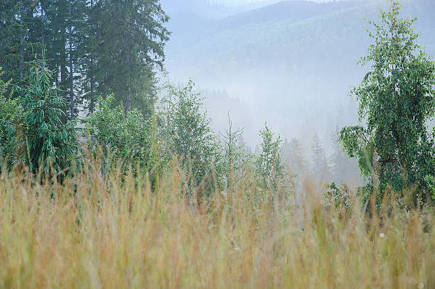 istock Morning in the mountains. 621241382