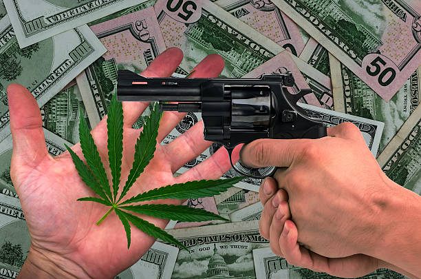 marijuana, arme à feu dans ses mains sur le fond de dollars - narcotic gun medicine currency photos et images de collection