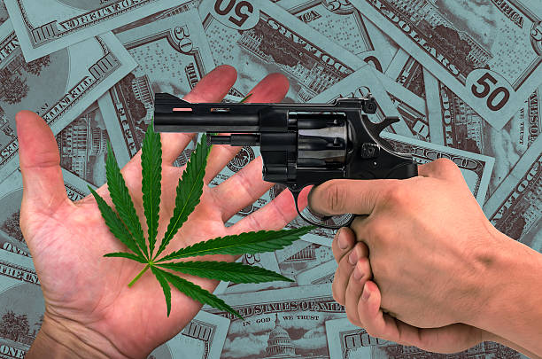 de la marijuana et une arme à feu dans ses mains sur le fond de dollars - narcotic gun medicine currency photos et images de collection