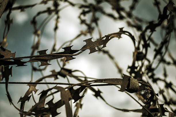 istock stabbing sharp wire on the fence. black and white background 621243614