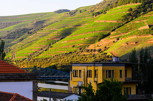 istock river Douro valley, Portugal 621243688